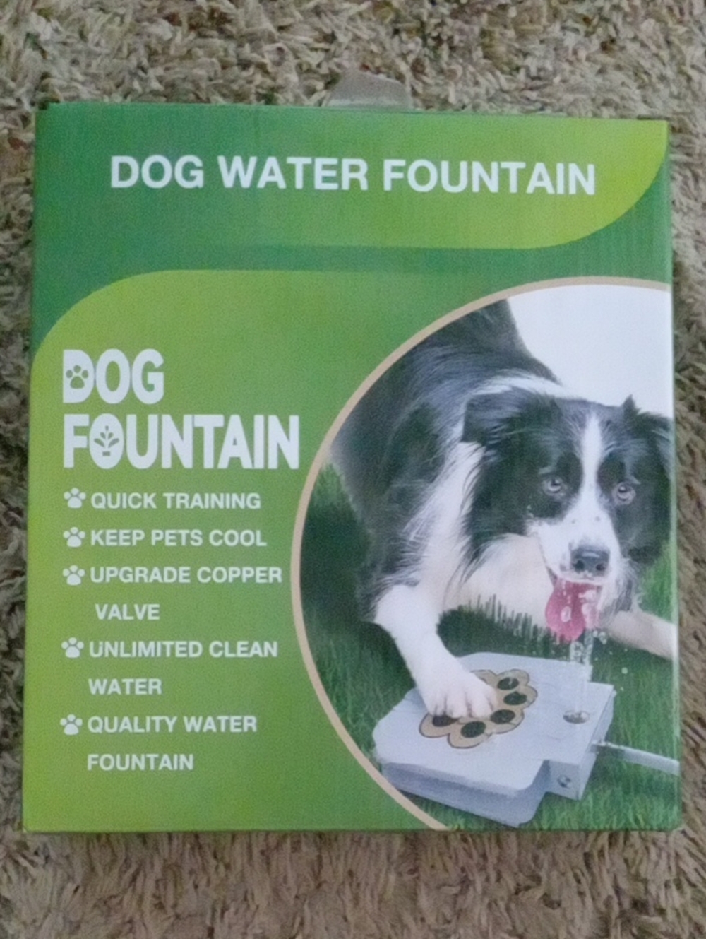 Dog Fountain Automatic Waterer